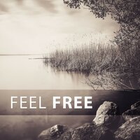 Love Music - Stress Relief Calm Oasis