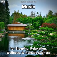 Relaxing Music Part 9 - Sleep Music & Relaxing music & Yoga