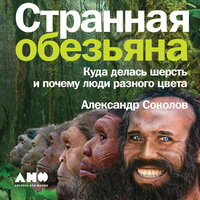 Александр Соколов. «Странная обезьяна: Куда делась шерсть и почему люди разного цвета». Часть 29 - Артем Пахомов