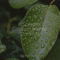 # Sonidos Cálidos | Mente Dormida