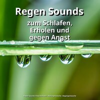 Versonnen und Regentropfen - Regen Sounds Thea Horbach & Naturgeräusche & Regengeräusche