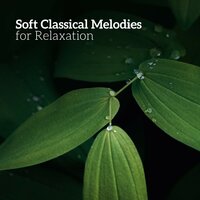 Menuet sur le nom d'Haydn, M. 58 - Musica Relajante Oasis & Морис Равель