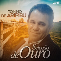 Seleção de Ouro, Vol. II