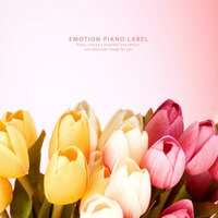 Beautiful piano music for those who love again after parting