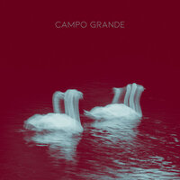 Abrigos - Campo Grande