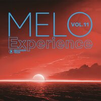 Melo Experience, Vol. 11