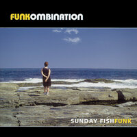 You've Got to Give It Up - FUNKOMBINATION
