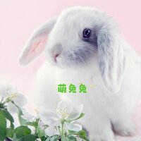 奶香香 - 爱宠音乐