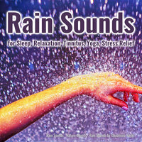 Cool Freedom - Rain Sounds & Nature Sounds & Rain Sounds by Gaudenzio Nadel