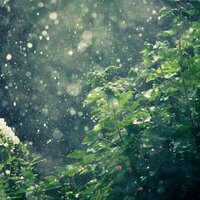 Am Rain No.128 - First Dream