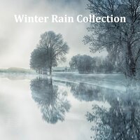 Gentle Rain - Meditation Rain Sounds & Yoga Music & Sleep Sound Library