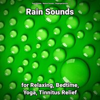 Rain Sounds for Relaxing and Tinnitus Relief Pt. 3 - Nature Sounds & Rain Sounds & Regengeräusche