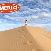 Derribar - Merlo