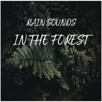 Gentle Raindrops in the Forest for Sleeping, Pt. 05 - Rain Sounds & Relaxing Spa Music & Ruído branco