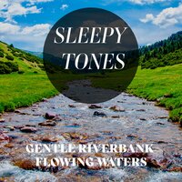 Gentle Riverbank Flowing Waters, Pt. 4 - Jason Rivers