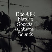 Beautiful Nature Sounds: Waterfall Sounds