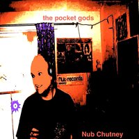 Telstar Gurl - The Pocket Gods & Noel Storey