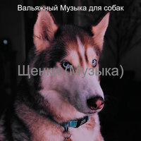 Мечты (Щенки) - Вальяжный Музыка для собак