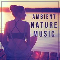 Natural Waves Sounds - Echoes of Nature