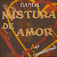 Apaixonado por Você - Banda Mistura De Amor