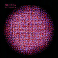My Sunset - Orkidea