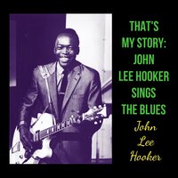 Democrat Man - John Lee Hooker