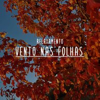 Relaxamento: Vento nas Folhas, Pt. 25 - Notas de Relaxamento
