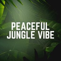 Peaceful Jungle Vibe
