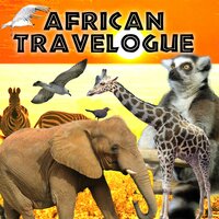 African Kudu - Sam Sklair