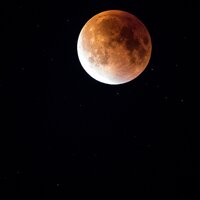 A Mix of 25 Serene Songs for Sleep