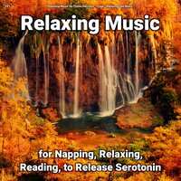Ambient Music for Dogs - Relaxing Music by Thimo Harrison & Yoga & Relaxing Spa Music