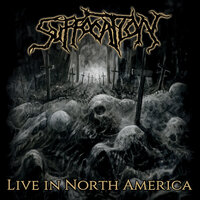 As Grace Descends - Suffocation