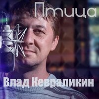 Птица - Влад Кевраликин