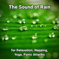 The Sound of Rain for Relaxation Pt. 81 - Nature Sounds & Rain Sounds & Regengeräusche