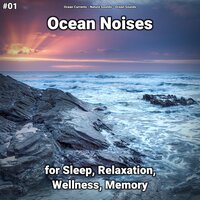 Ocean Noises Pt. 62 - Ocean Currents & Nature Sounds & Ocean Sounds