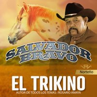 La Gloria - Salvador Bravo