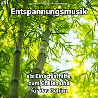Gegen Burn Out - Entspannungsmusik & Entspannung & Schlafmusik