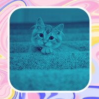 Фоновая Музыка (Спокойные Кошки)