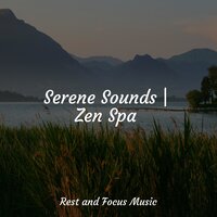 Serene Sounds | Zen Spa