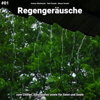 Regengeräusche, pt. 58 - Gunnar Oberhausen & Rain Sounds & Nature Sounds