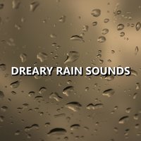 Distinct Moonlit Rain Sounds - Rain Sounds