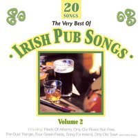 Irish Ways and Irish Laws - Cu Chulainn