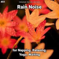 Rain Sounds for Tinnitus - Calming Sounds & Rain Sounds & Nature Sounds