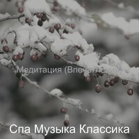 Медитация (Впечатления)