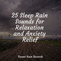 25 Sleep Rain Sounds for Relaxation and Anxiety Relief