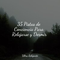 35 Pistas de Conciencia Para Relajarse y Dormir
