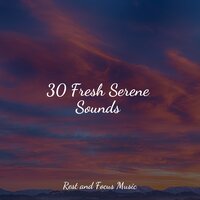 Infinite Horizons - Massagem & White Noise for Babies & calm shores