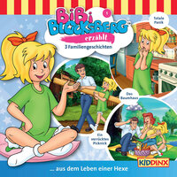 Kapitel 03: Ein verrücktes Picknick (Familiengeschichten) - Bibi Blocksberg