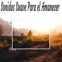 Meditación - Sonidos suaves