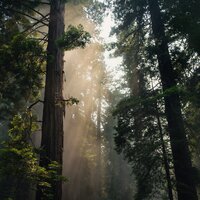 Sleepy Sounds & Total Relaxation